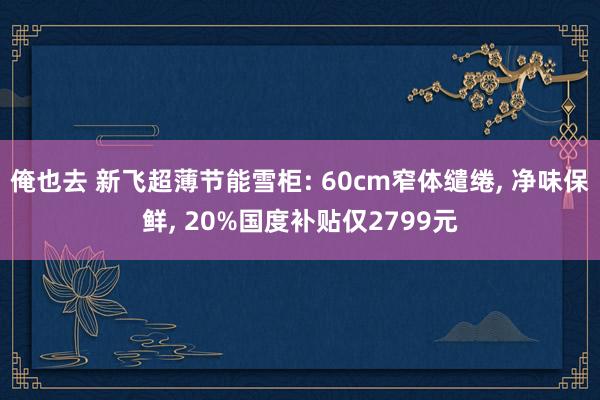俺也去 新飞超薄节能雪柜: 60cm窄体缱绻, 净味保鲜, 20%国度补贴仅2799元