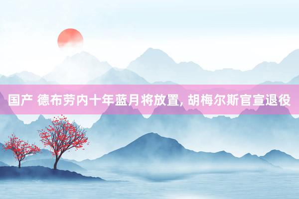 国产 德布劳内十年蓝月将放置, 胡梅尔斯官宣退役