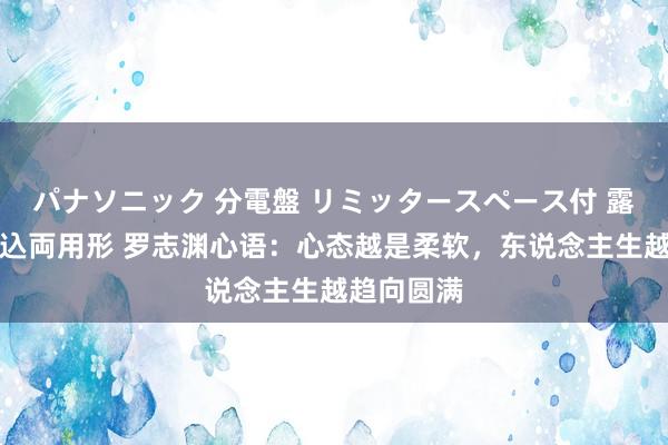パナソニック 分電盤 リミッタースペース付 露出・半埋込両用形 罗志渊心语：心态越是柔软，东说念主生越趋向圆满