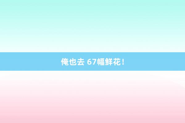 俺也去 67幅鲜花！