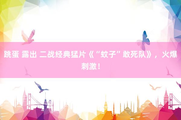 跳蛋 露出 二战经典猛片《“蚊子”敢死队》，火爆刺激！