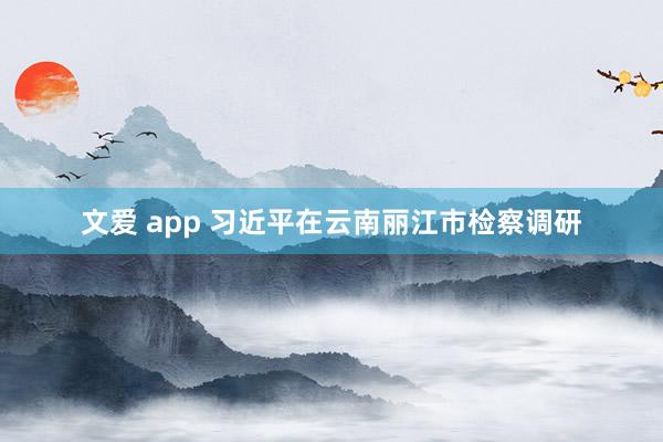 文爱 app 习近平在云南丽江市检察调研